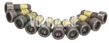 Flywheel bolts 10x kit P80 X40 P1 P2 P3