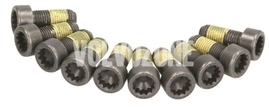 Flywheel bolts 10x kit P80 X40 P1 P2 P3