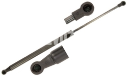 Tailgate gas spring P1 C30
