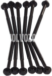 Cylinder head bolts kit (12x) 2.4D/D5 P2, P1 (-2010), P3 (-2009)