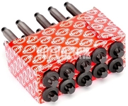 Cylinder head bolts kit (10x) 2.0D P1 P3