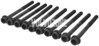 Cylinder head bolts kit (10x) 1.8/2.0 P1 P3