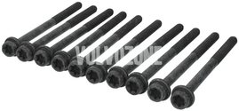 Cylinder head bolts kit (10x) 1.8/2.0 P1 P3