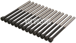 Cylinder head bolts kit (14x) 3.2/3.0 T6 P2 XC90 (2007-), P3