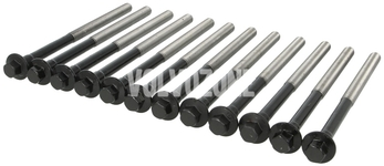 Cylinder head bolts kit (12x) 5 cylinder engines D3/D4/2.4D/D5 P1 (2011-), P3 (2009-)