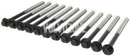 Cylinder head bolts kit (12x) 5 cylinder engines D3/D4/2.4D/D5 P1 (2011-), P3 (2009-)