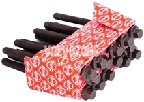 Cylinder head bolts kit (14x) 2.9/3.0/T6 (-2006) P2 S80/XC90