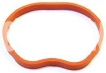 Intake manifold gasket 1.6 P1