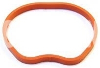 Intake manifold gasket 1.6 P1