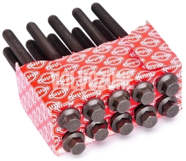 Cylinder head bolts kit (10x) 1.6/1.8/2.0(T)/T4 X40