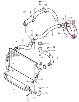 Hose from turbocharger to pipe directing to intercooler 2.3 T5 P2/P80 (1999-) (OEM)