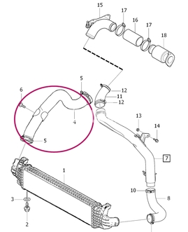 Hose from intercooler to throttle body 1.6D2 P1