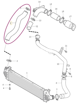 Hose from intercooler to throttle body 1.6D2 P1 (OEM)