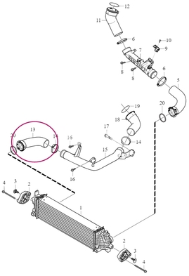 Hose from charger pipe to intercooler 4 cylinder engines 2.0 (2014-) SPA (OEM)