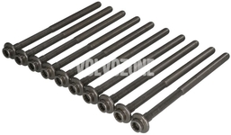 Cylinder head bolts kit (10x) 4 cylinder diesel engines (2014-) P1 P3 SPA/CMA
