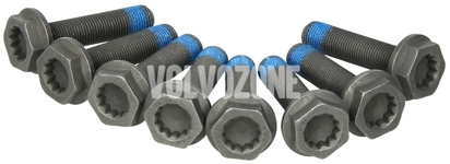 Flywheel bolts 8x kit 2.5 TDI P80/P2